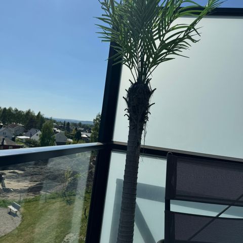 2stk Kunstige palmer 180cm