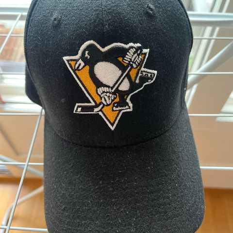 Pittsburgh penguins caps s/m