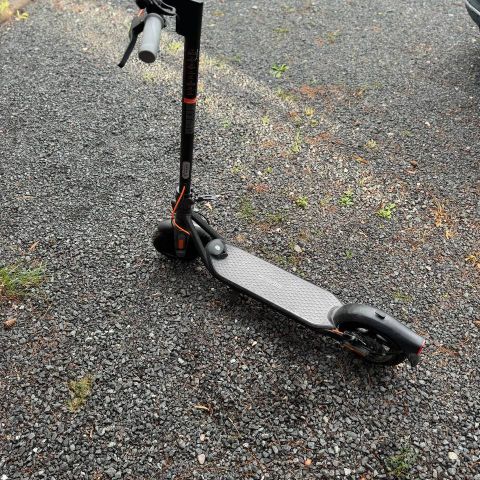 Kraftig Sparkesykkel Segway, KickScooter F30D, elektrisk sparkesykkel