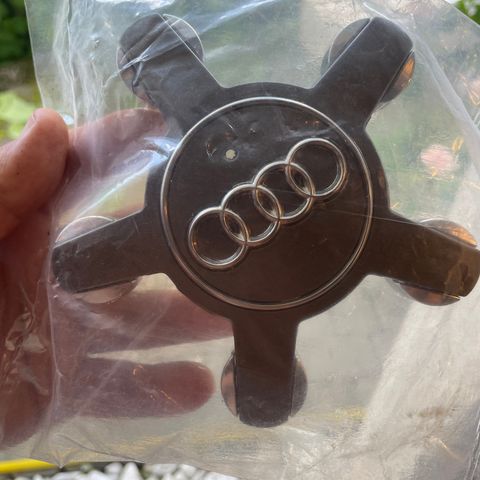 kapsler  Audi