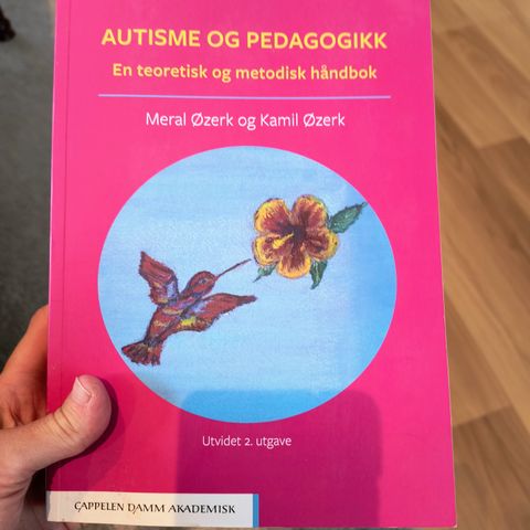 Pent brukt - Autisme og pedagogikk