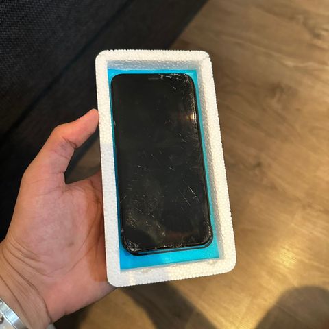 iPhone 11 defekt skjerm