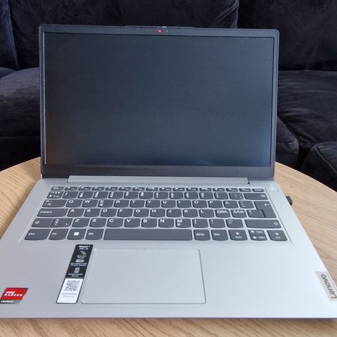 Lenovo IdeaPad 1 Cel/4/128 14" bærbar PC