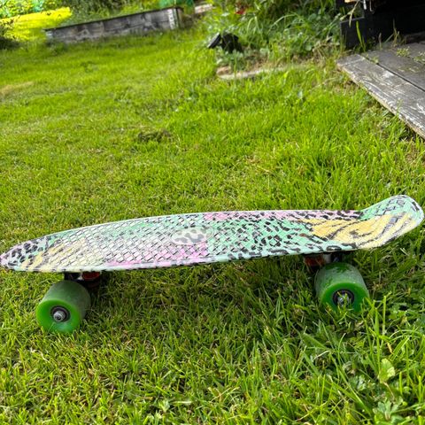 Pennyboard