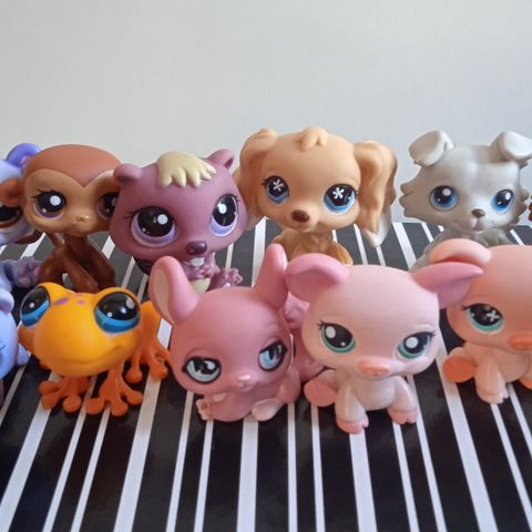 Littlest pet shop 12 stk