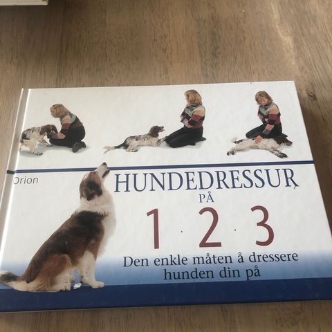 Hundedressur på 123