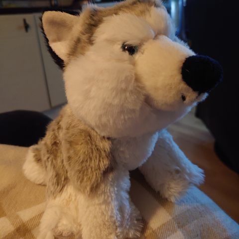 Husky kosedyr / bamse