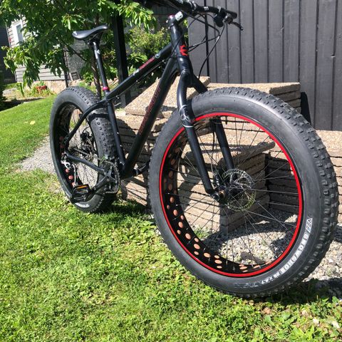 Fat bike