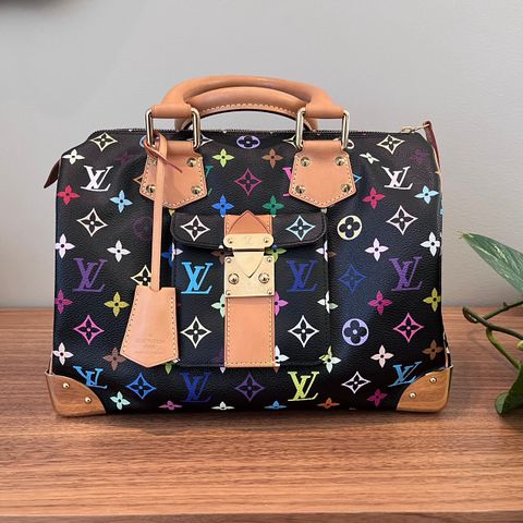 Meget pen Louis Vuitton Multicolore Speedy