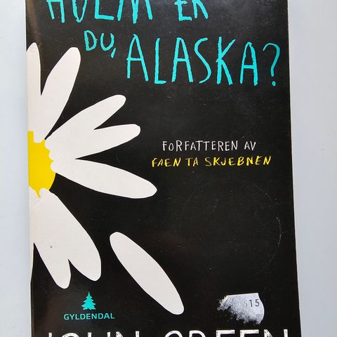 Hvem er du, Alaska? - pocket bok