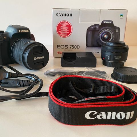 Canon EOS 750D med EF-S 18-55 mm IS STM objektiv og et Cannon 50 mm objektiv.