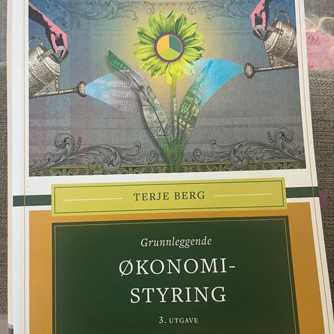 Terje Berg - Grunnleggende økonomistyring 3. utg