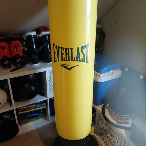 Everlast boksepute