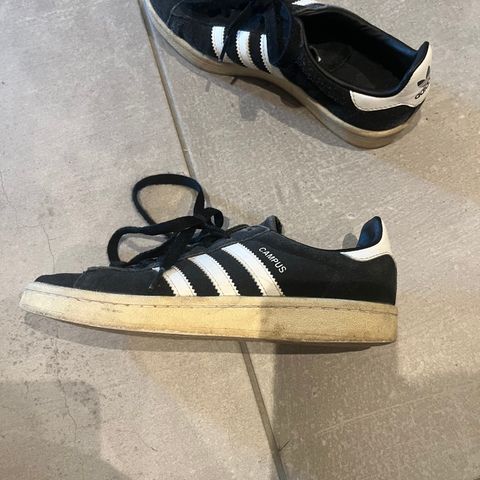 Adidas campus