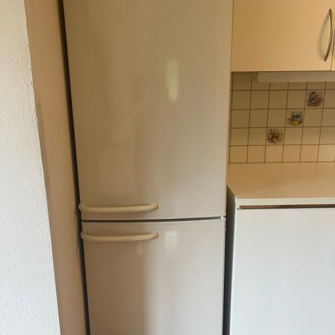 Bosch Cooler - Reservert