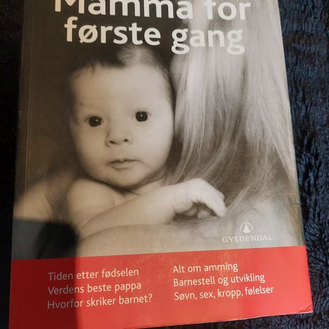 Mamma for første gang bok