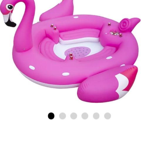 Kjempe flamingo