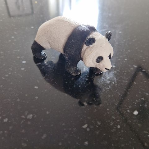 Scheich panda