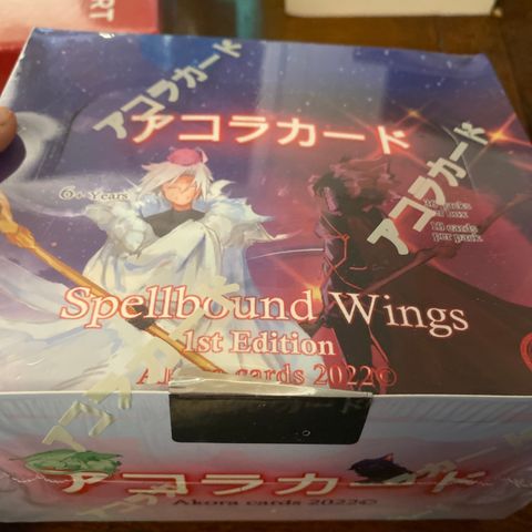 Spellbound Wings 1st Edition booster box