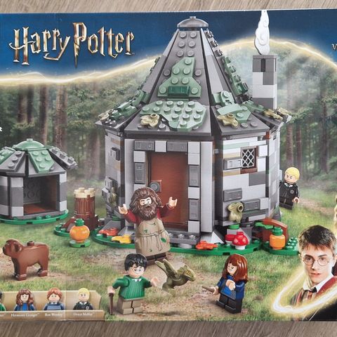 Lego Harry Potter, 76428 Gygrids Hytte: et Uventet besøk