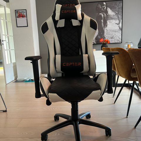 CEPTER Ergonomisk Gamingstol