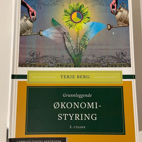 Grunnleggende økonomistyring, Terje Berg, 3. utgave. Som ny.