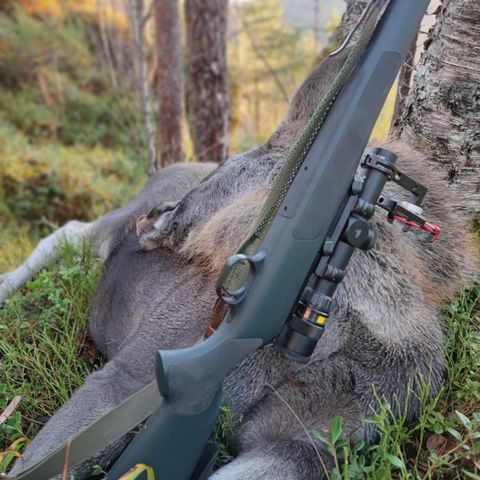 Blaser r93