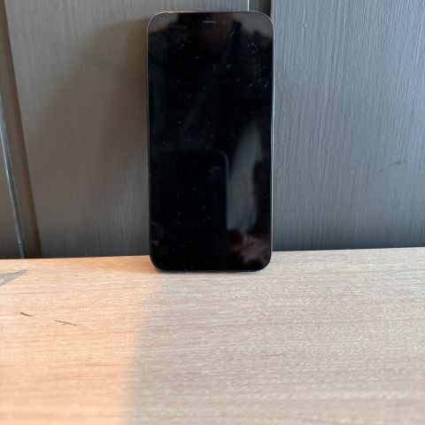 iPhone 12 mini