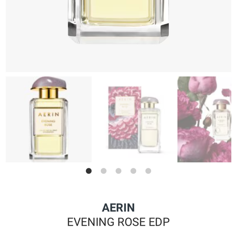 Aerin Evening Rose