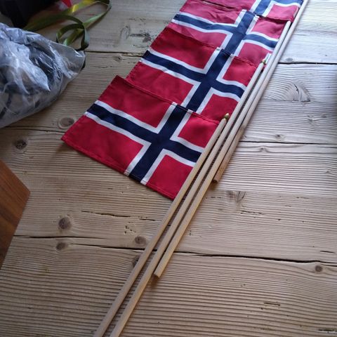Norske flagg håndholdt