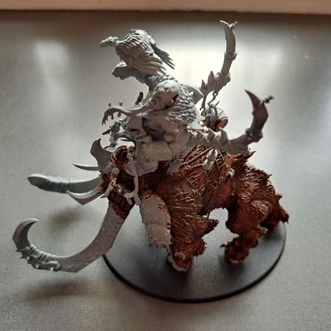 Warhammer age of Sigmar Huskard on Thundertusk