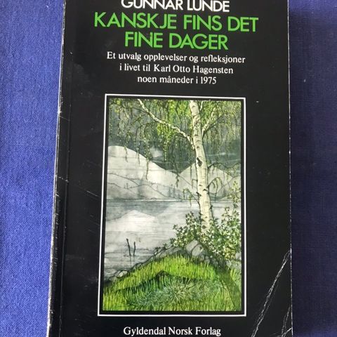 Gunnar Lunde: Kanskje finnes det fine dager