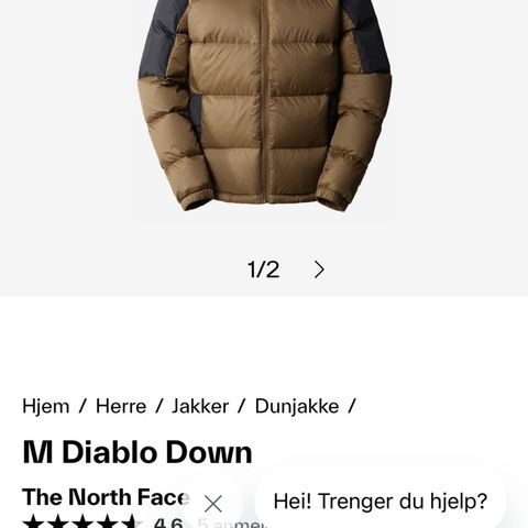 North Face Diablo Down Jacket