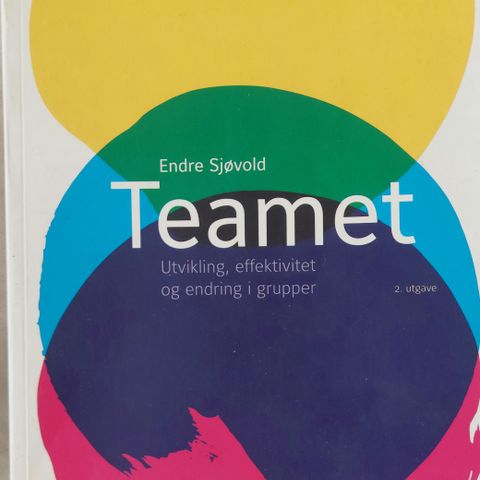 Teamet - Endre Sjøvold