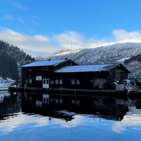 Flåte / lekter ønskes kjøpt