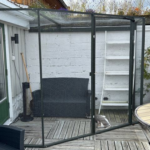 Catio