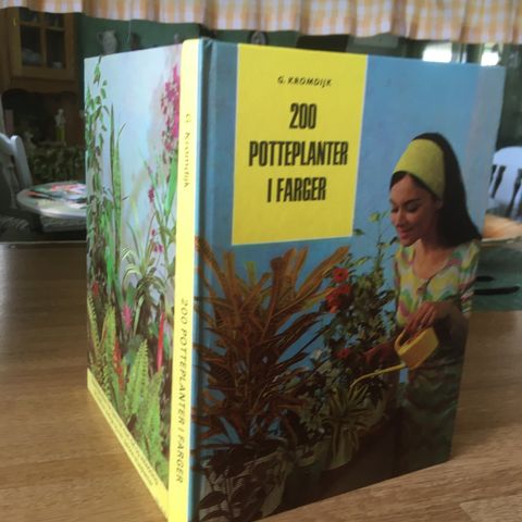 Bok 200 potteplanter i farger