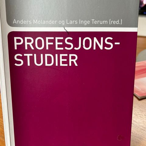 Profesjonsstudier