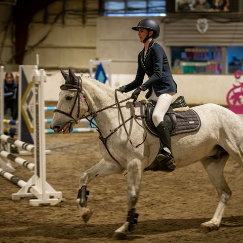 Ønsker hest på helfôr