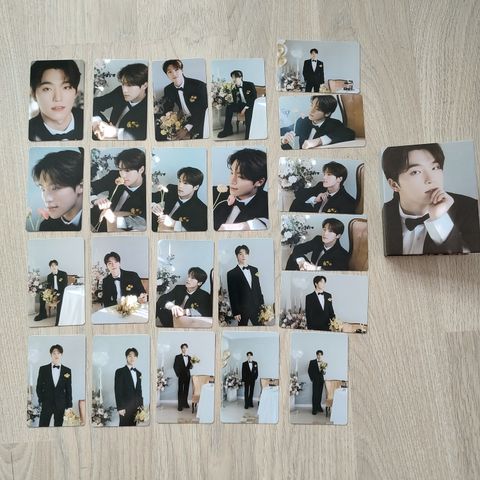 SEVENTEEN Dino photocards + mappe