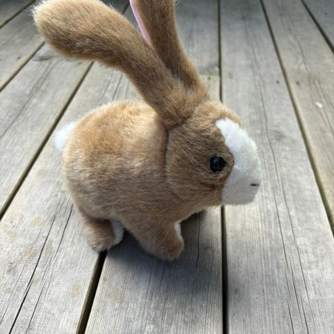 Babyleke- hoppende kanin med lyder