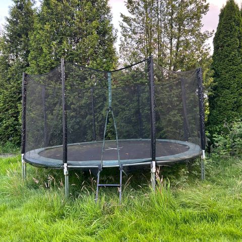 Trampoline