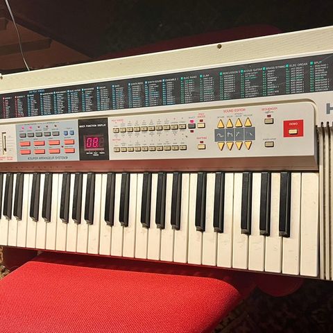 Hohner PSK45 keyboard