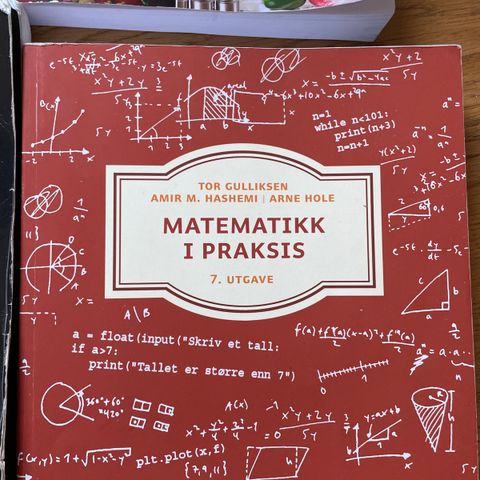 Matematikk i praksis