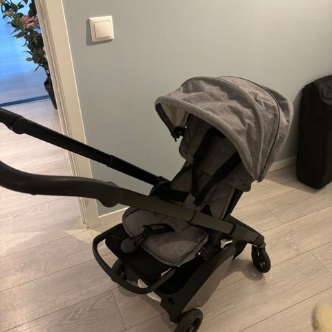 Bugaboo ant - RESERVERT