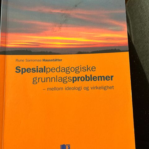 Spesialpedagogiske grunnlagsproblemer - mellom ideologi og virkelighet