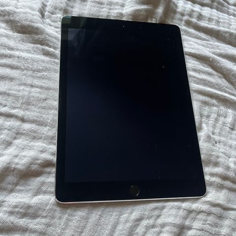 iPad Air 2