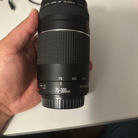 Canon EF 75-300mm 1:4-5.6 III