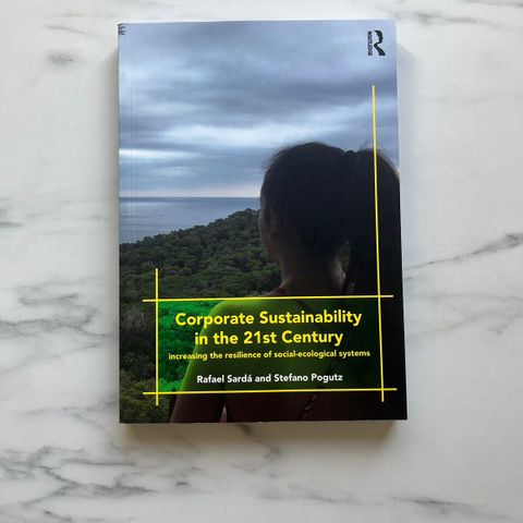 Corporate sustainability in the 21st century