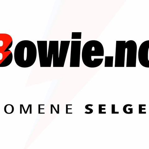 Bowie.no domene selges